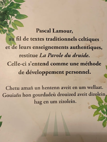 Livre : La Parole du Druide de Pascal LAMOUR | Broché | Chez  OUEST FRANCE