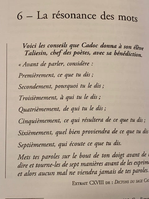 Livre : La Parole du Druide de Pascal LAMOUR | Broché | Chez  OUEST FRANCE