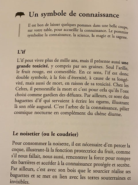 Livre : La Parole du Druide de Pascal LAMOUR | Broché | Chez  OUEST FRANCE