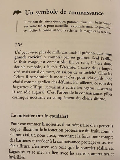 Livre : La Parole du Druide de Pascal LAMOUR | Broché | Chez  OUEST FRANCE