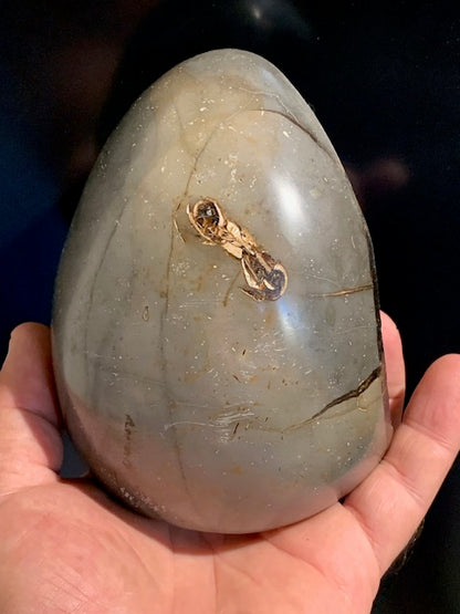 Septaria, forme libre à poser, 1285 grammes - 121 x 102 x 88 millimètres. Superbe qualité, une forme libre ouverte pleine de velours minéral
