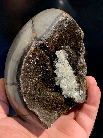 Septaria, forme libre à poser, 1285 grammes - 121 x 102 x 88 millimètres. Superbe qualité, une forme libre ouverte pleine de velours minéral