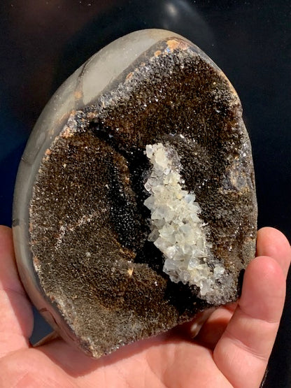 Septaria, forme libre à poser, 1285 grammes - 121 x 102 x 88 millimètres. Superbe qualité, une forme libre ouverte pleine de velours minéral