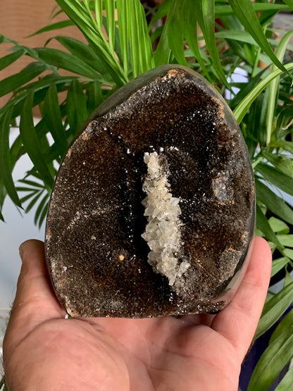 Septaria, forme libre à poser, 1285 grammes - 121 x 102 x 88 millimètres. Superbe qualité, une forme libre ouverte pleine de velours minéral