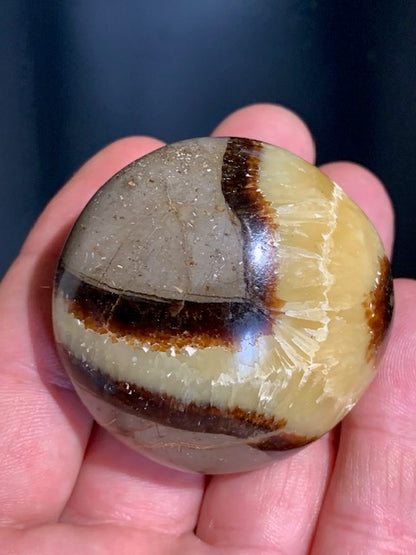 Septaria, galet roulé de 49mm de diamètre x 32 - 101,7 gr.