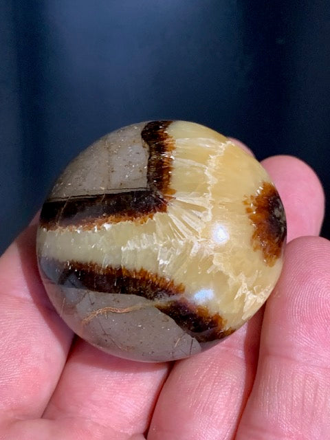 Septaria, galet roulé de 49mm de diamètre x 32 - 101,7 gr.