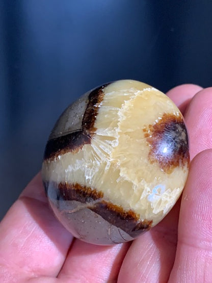 Septaria, galet roulé de 49mm de diamètre x 32 - 101,7 gr.