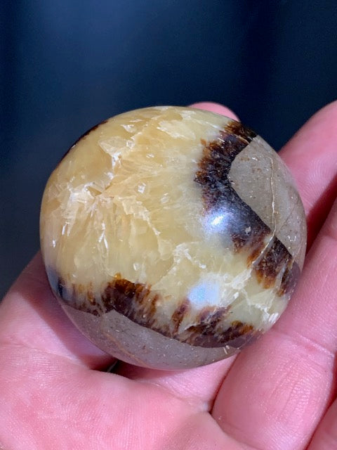 Septaria, galet roulé de 49mm de diamètre x 32 - 101,7 gr.