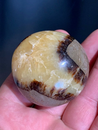 Septaria, galet roulé de 49mm de diamètre x 32 - 101,7 gr.