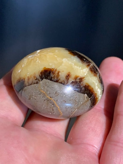 Septaria, galet roulé de 49mm de diamètre x 32 - 101,7 gr.