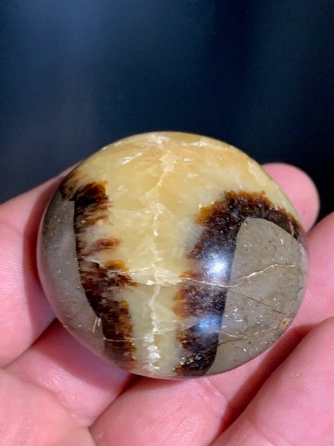 Septaria, galet roulé de 49mm de diamètre x 32 - 101,7 gr.