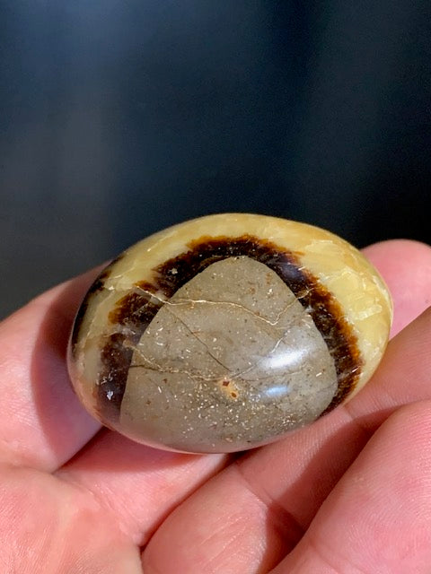 Septaria, galet roulé de 49mm de diamètre x 32 - 101,7 gr.