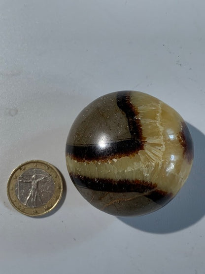 Septaria, galet roulé de 49mm de diamètre x 32 - 101,7 gr.