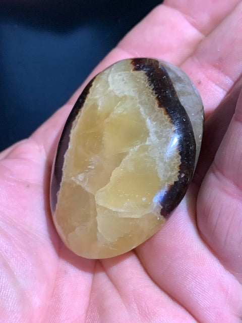 Septaria, galet roulé de 59 mm x 43 x 22 - 81,8 gr.