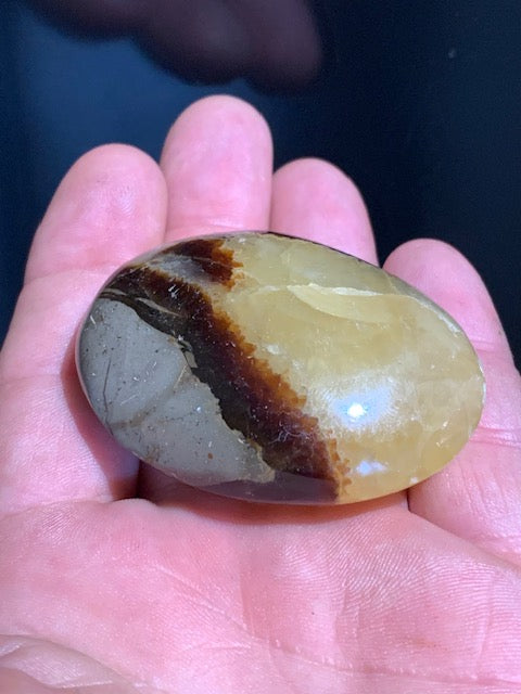 Septaria, galet roulé de 59 mm x 43 x 22 - 81,8 gr.