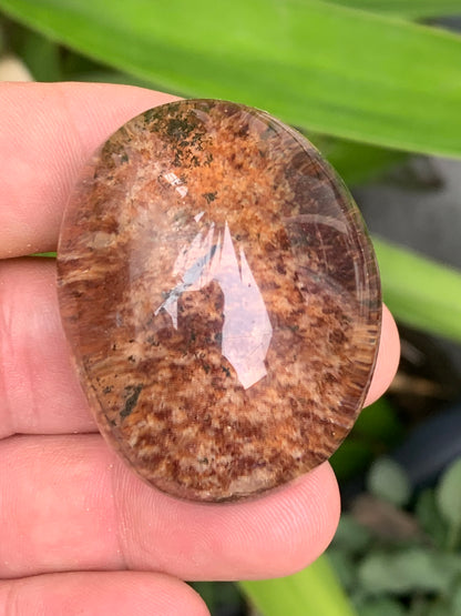 Cristal de Roche/ Quartz Lodolite ou Quartz Chaman – Spécimen naturel - ± 47 mm (H) × 36 × 30 - 67 gr. !