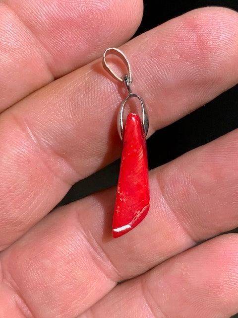 Coral/Gorgonian, pendant made by G & Z, measuring 35x8x7 millimeters, sold with an adjustable sliding cord, in black leather from 40 to 70 centimeters!