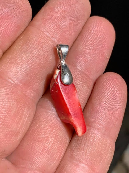Coral/Gorgonian, pendant made by G & Z, measuring 35x8x7 millimeters, sold with an adjustable sliding cord, in black leather from 40 to 70 centimeters!