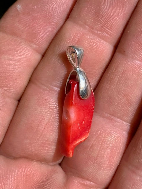 Coral/Gorgonian, pendant made by G & Z, measuring 35x8x7 millimeters, sold with an adjustable sliding cord, in black leather from 40 to 70 centimeters!