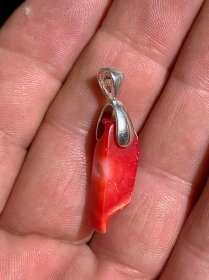 Coral/Gorgonian, pendant made by G & Z, measuring 35x8x7 millimeters, sold with an adjustable sliding cord, in black leather from 40 to 70 centimeters!