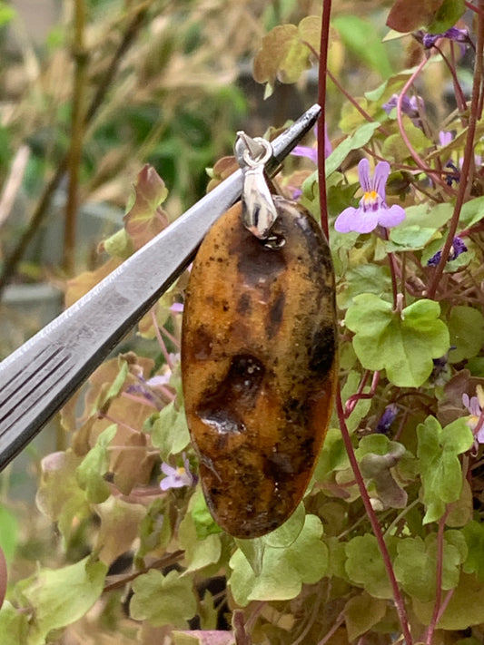 Ambre, pendentif de 50x18x10 millimètres, vendu avec cordon coulissant (réglable), en cuir noir de 40 à 70 centimètres !