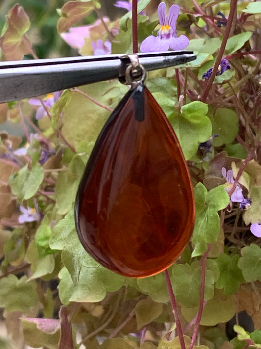 Ambre, pendentif de 40x20x10 millimètres, vendu avec cordon coulissant (réglable), en cuir noir de 40 à 70 centimètres !