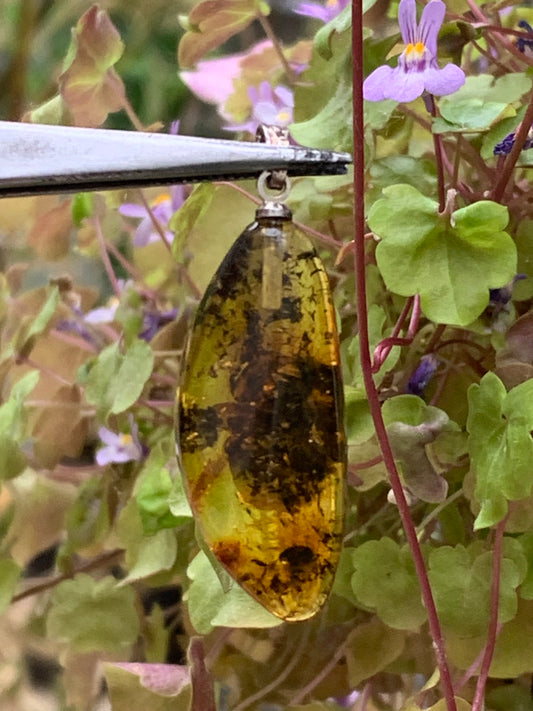 Ambre, pendentif de 40x13x9 millimètres, vendu avec cordon coulissant (réglable), en cuir noir de 40 à 70 centimètres !