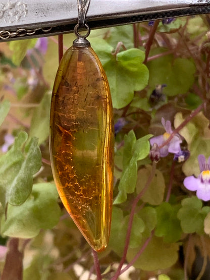 Ambre, pendentif de 40x13x9 millimètres, vendu avec cordon coulissant (réglable), en cuir noir de 40 à 70 centimètres !