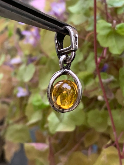 Ambre, jolie petit pendentif en Argent de 20x8x8 millimètres, vendu avec cordon coulissant (réglable), en cuir noir de 40 à 70 centimètres !