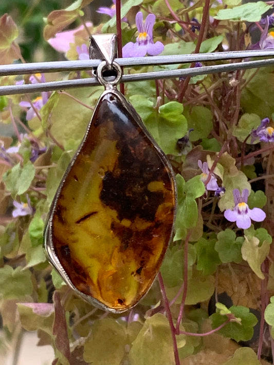 Ambre, superbe pendentif en Argent de 55x22x12 mm. Vendu avec cordon coulissant (réglable), en cuir noir de 40 à 70 cm !