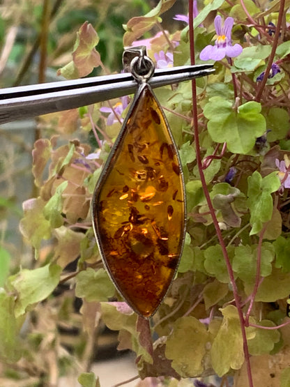 Ambre, superbe pendentif en Argent de 60x20x10 mm. Vendu avec cordon coulissant (réglable), en cuir noir de 40 à 70 cm !