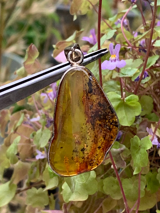 Ambre, superbe pendentif en Argent de 45x20x8 mm. Vendu avec cordon coulissant (réglable), en cuir noir de 40 à 70 cm !