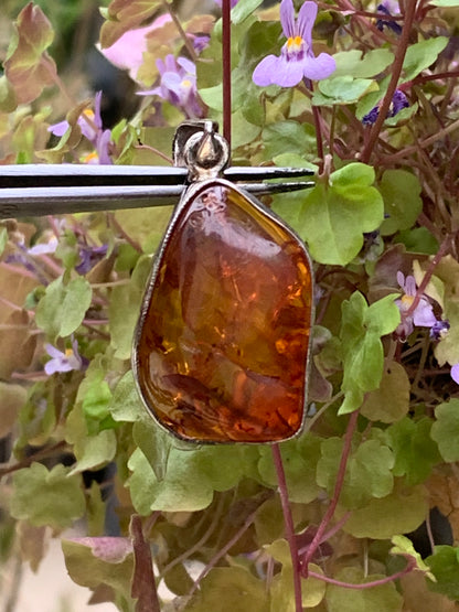 Ambre, superbe pendentif en Argent de 40x20x12 mm. Vendu avec cordon coulissant (réglable), en cuir noir de 40 à 70 cm !