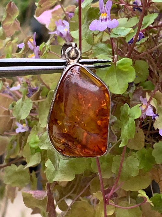 Ambre, superbe pendentif en Argent de 40x20x12 mm. Vendu avec cordon coulissant (réglable), en cuir noir de 40 à 70 cm !