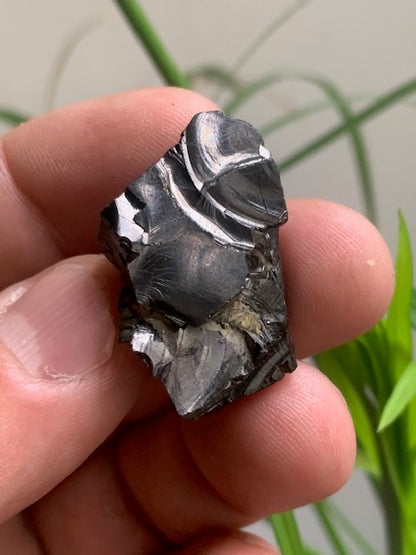 Shungite Élite/ Noble  – Pierre brute naturelle 35x20x16 mm, 9,4 g – Pièce rare et authentique !