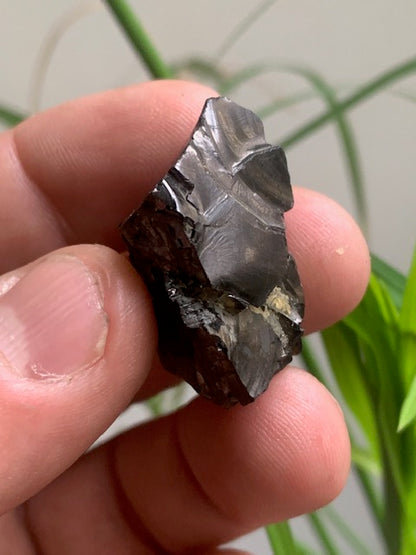 Shungite Élite/ Noble  – Pierre brute naturelle 35x20x16 mm, 9,4 g – Pièce rare et authentique !