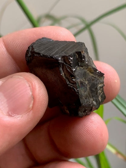 Shungite Élite/ Noble  – Pierre brute naturelle 35x20x16 mm, 9,4 g – Pièce rare et authentique !