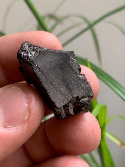 Shungite Élite/ Noble  – Pierre brute naturelle 35x20x16 mm, 9,4 g – Pièce rare et authentique !