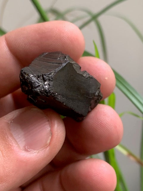 Shungite Élite/ Noble  – Pierre brute naturelle 35x20x16 mm, 9,4 g – Pièce rare et authentique !