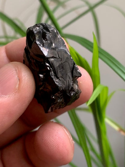 Shungite Élite/ Noble  – Pierre brute naturelle 35x20x16 mm, 9,4 g – Pièce rare et authentique !