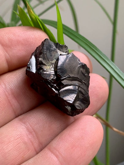Shungite Élite/ Noble  – Pierre brute naturelle 35x20x16 mm, 9,4 g – Pièce rare et authentique !