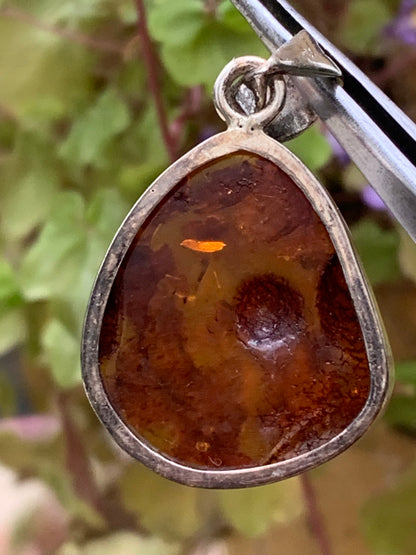 Ambre, superbe pendentif en Argent de 35x22x8 mm. Vendu avec cordon coulissant (réglable), en cuir noir de 40 à 70 cm !