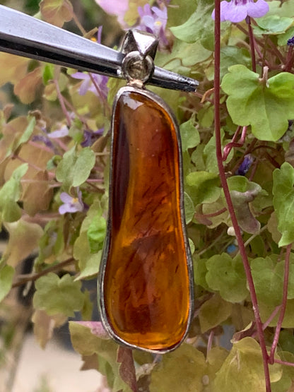 Ambre, superbe pendentif en Argent de 50x15x7 mm. Vendu avec cordon coulissant (réglable), en cuir noir de 40 à 70 cm !