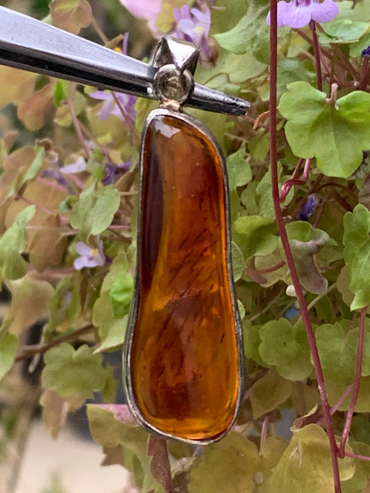 Ambre, superbe pendentif en Argent de 50x15x7 mm. Vendu avec cordon coulissant (réglable), en cuir noir de 40 à 70 cm !