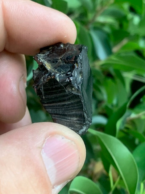 Shungite Élite/ Noble  – Pierre brute naturelle 35x20x16 mm, 9,4 g – Pièce rare et authentique !