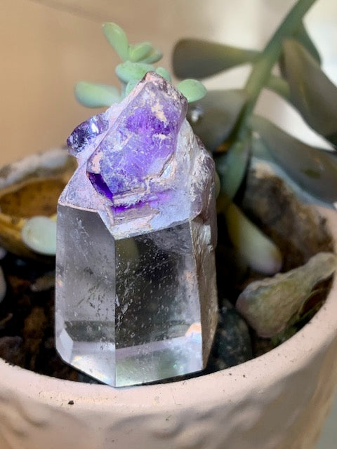 🦉 Faire un bilan Bien-Être – Téléchargez le questionnaire et recevez une analyse personnalisé avec des conseils de Zen Curiosity et de ses praticiens !