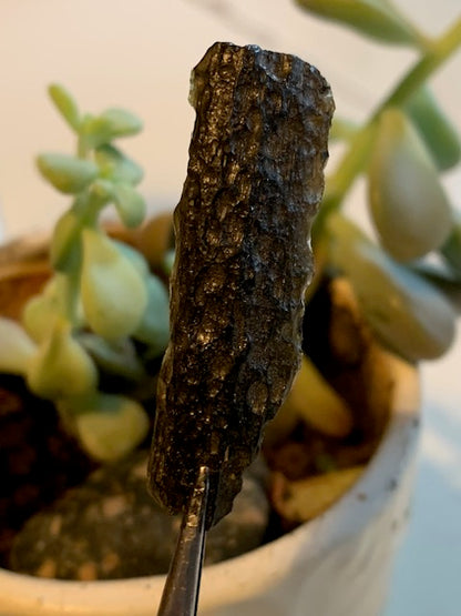 Tectite du Viet-Nam - 40 mm x 12 x 5 - 3 grammes. Fascinant, envoutant, hypnotisant !