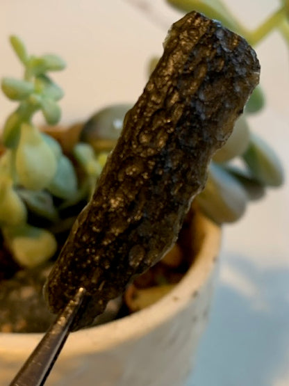 Tectite du Viet-Nam - 40 mm x 12 x 5 - 3 grammes. Fascinant, envoutant, hypnotisant !