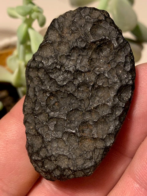 Tectite du Viet-Nam - 50 mm x 32 x 10 - 19 grammes - Fascinant, envoutant, hypnotisant !