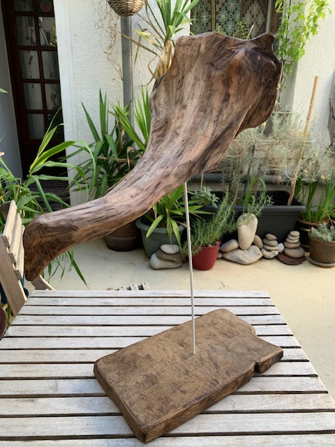 Sculpture en bois flotté de Loire : 'Tête D'Éléphant' - 52 cm de hauteur × 41 × 21 - Création Zen Curiosity